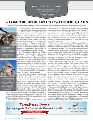 A COMPARISON BETWEEN TWO DESERT QUAILS Article and Photos by RICHARD C