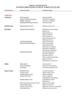 Cnidarian Species of Flower Garden Banks National Marine Sanctuary