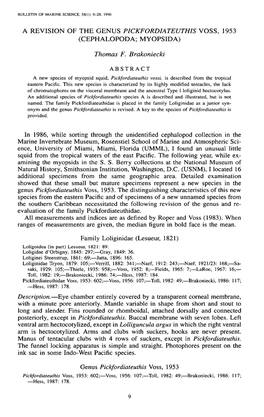 A Revision of the Genus &lt;I&gt;Pickfordiateuthis&lt;/I&gt; Voss, 1953 (Cephalopoda; Myopsida)