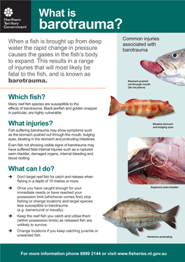 Barotrauma Fact Sheet