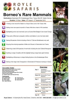Borneo's Rare Mammals