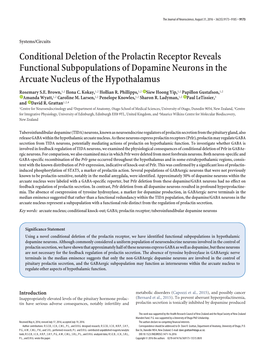 Conditional Deletion of the Prolactin Receptor Reveals Functional Subpopulations of Dopamine Neurons in the Arcuate Nucleus of the Hypothalamus