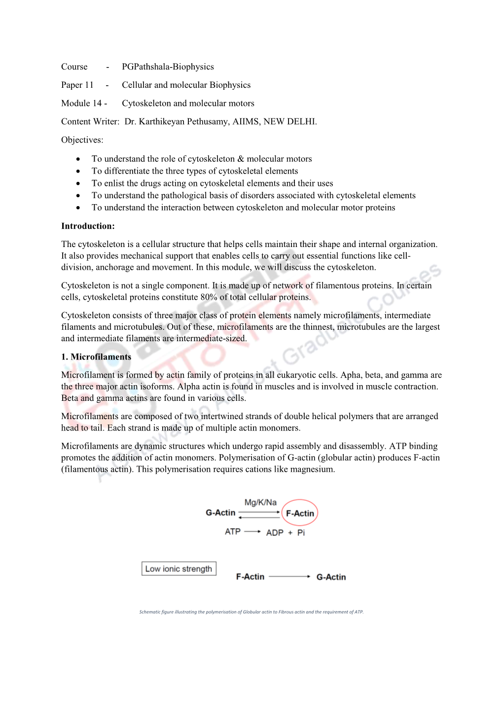 Cellular and Molecular Biophysics Module 14 - Cytoskeleton and Molecular Motors Content Writer: Dr