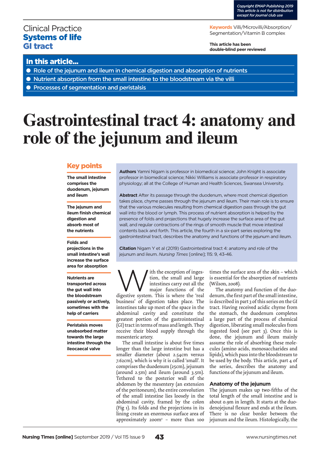 Gastrointestinal Tract 4: Anatomy and Role of the Jejunum and Ileum