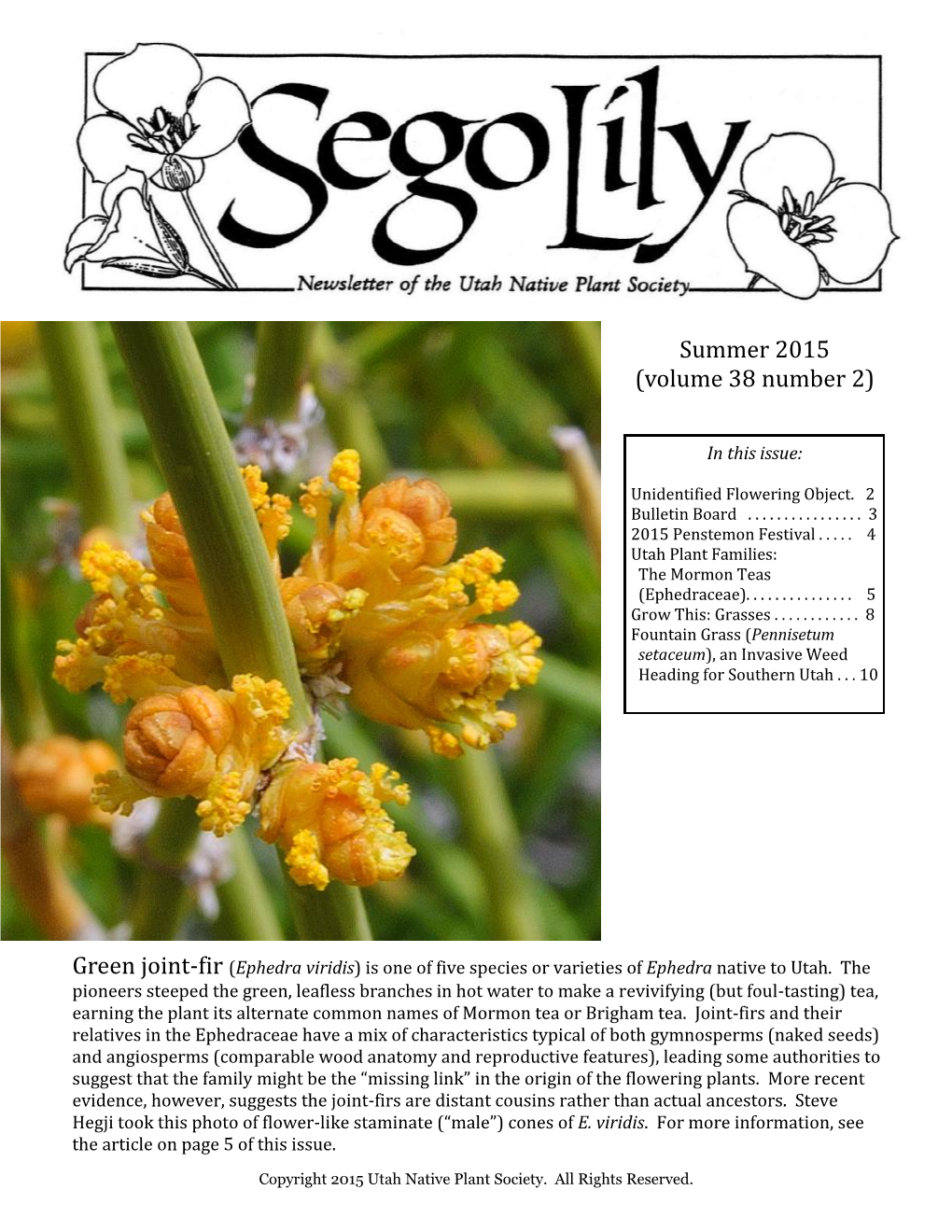 2015 Sego Lily Newsletter