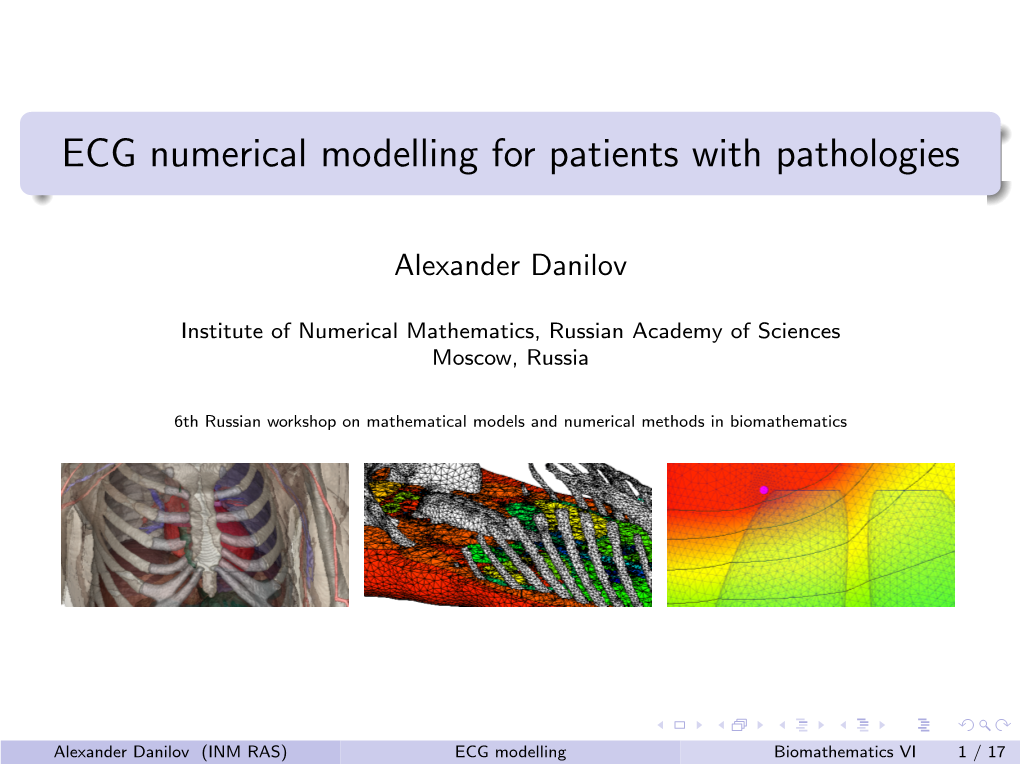ECG Numerical Modelling for Patients with Pathologies