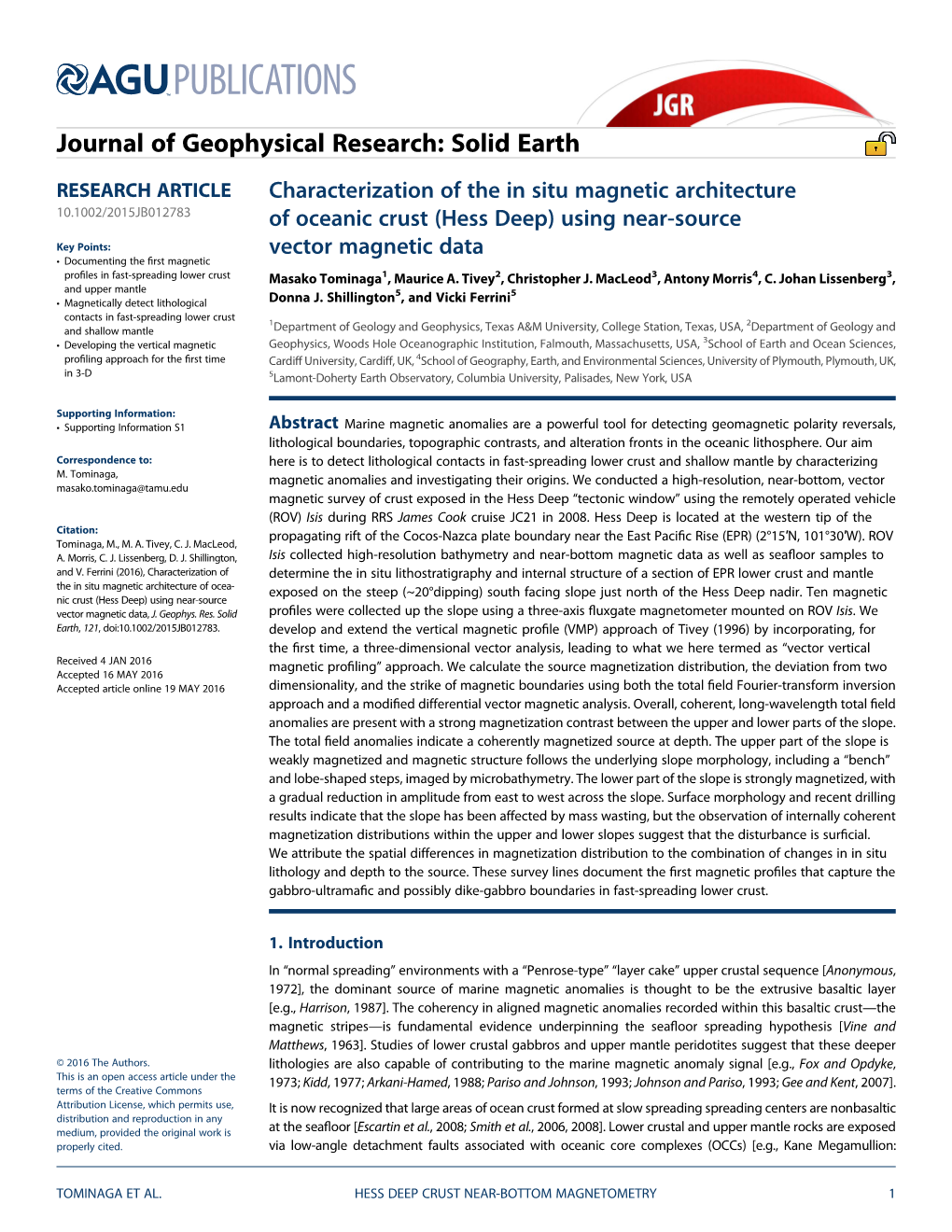 Characterization of the in Situ Magnetic Architecture of Oceanic Crust