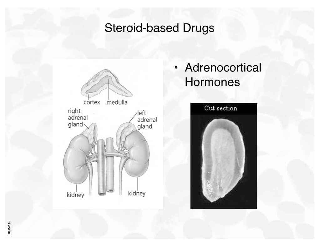 Adrenocortical Hormones BIMM118 Adrenocortical Hormones