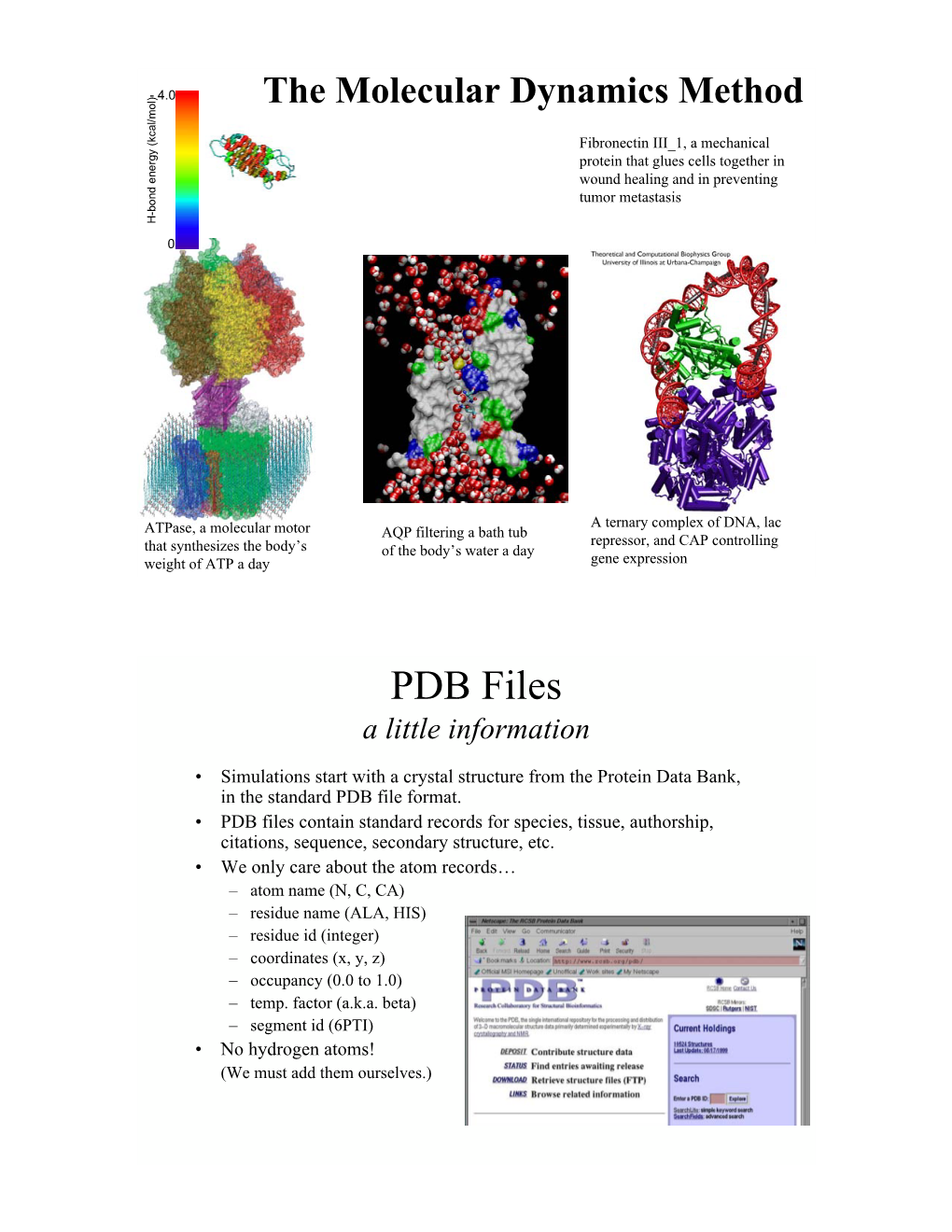 PDB Files a Little Information