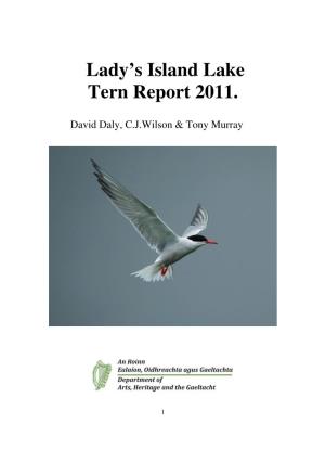 Lady's Island Lake Tern Report 2011