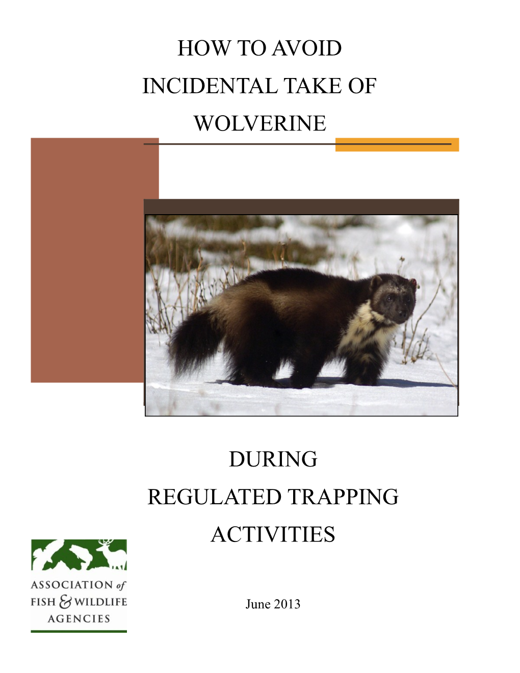 How to Avoid Incidental Take of Wolverine During Regulated Trapping Activities Page 2