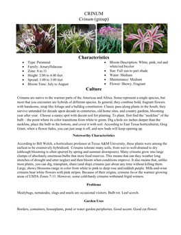 CRINUM Crinum (Group) Characteristics Culture