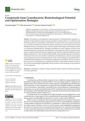 Carotenoids from Cyanobacteria: Biotechnological Potential and Optimization Strategies