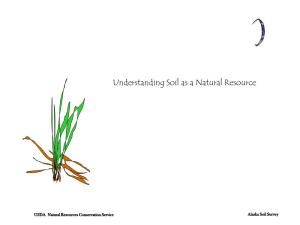 Understanding Soil As a Natural Resource