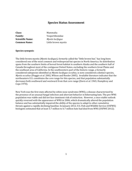 Species Assessment for Little Brown Myotis