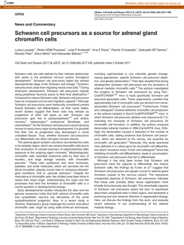 Schwann Cell Precursors As a Source for Adrenal Gland Chromaffin Cells