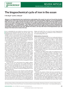 The Biogeochemical Cycle of Iron in the Ocean P