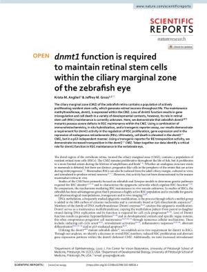 Dnmt1 Function Is Required to Maintain Retinal Stem Cells Within the Ciliary Marginal Zone of the Zebrafsh Eye Krista M