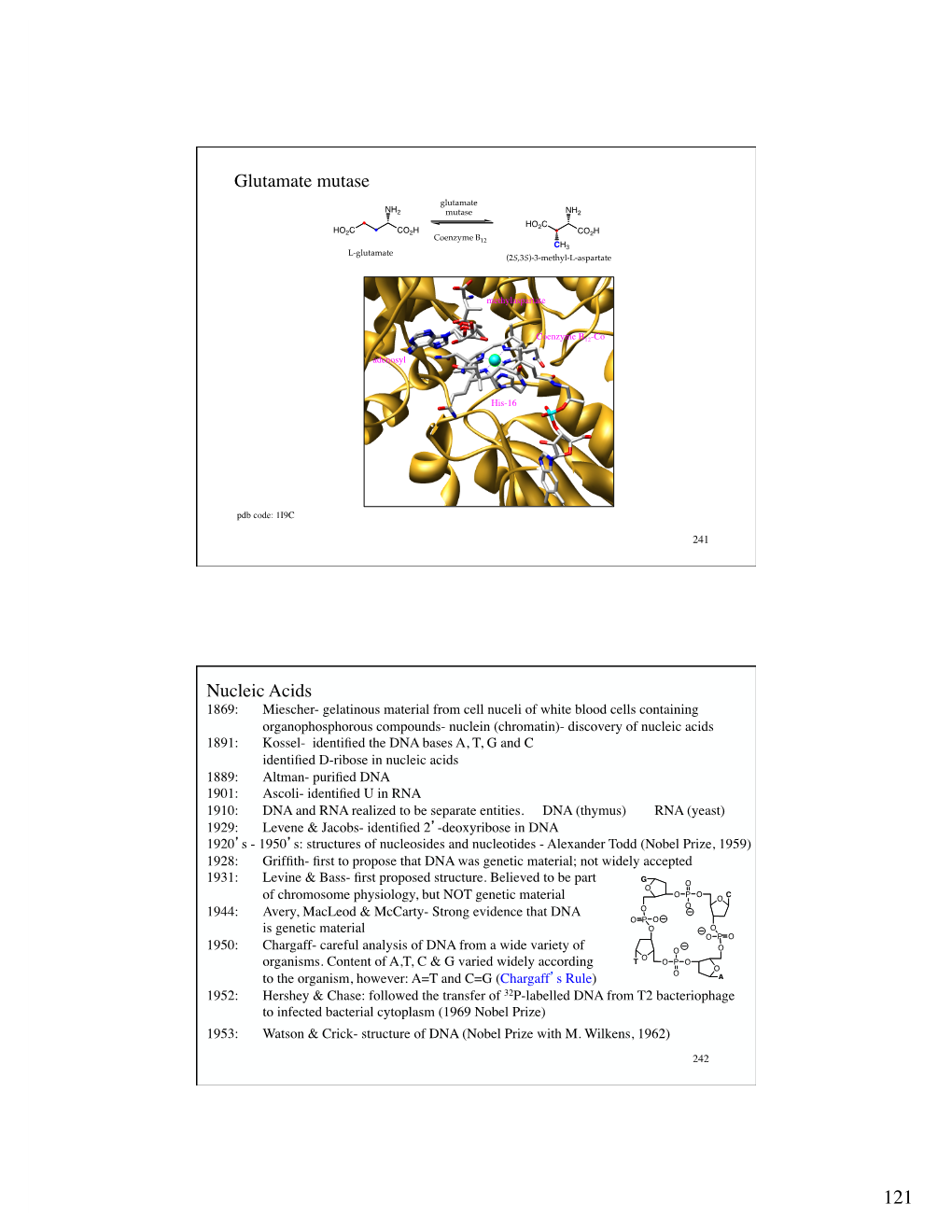 Glutamate Mutase Nucleic Acids