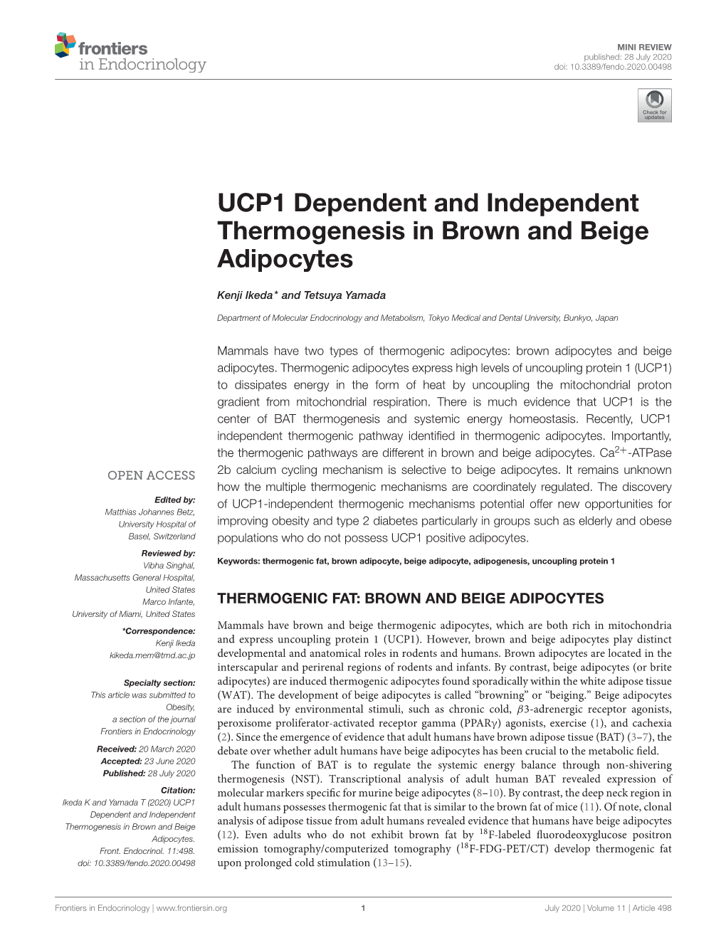 UCP1 Dependent and Independent Thermogenesis in Brown and Beige Adipocytes