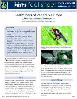 Leafminers of Vegetable Crops (Order: Diptera; Family: Agromyzidae) Diane Alston, Entomologist, and Ann Mull, Extension Assistant