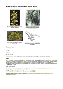 Acacia Oxycedrus Have Been Reported