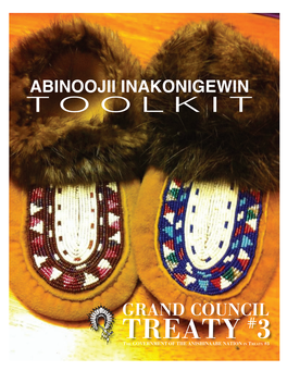 Abinoojii Inakonigewin Toolkit