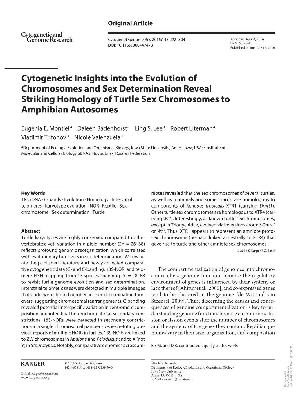 Cytogenetic Insights Into the Evolution of Chromosomes and Sex Determination Reveal Striking Homology of Turtle Sex Chromosomes to Amphibian Autosomes