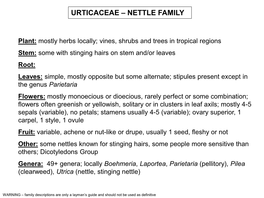 Urticaceae – Nettle Family