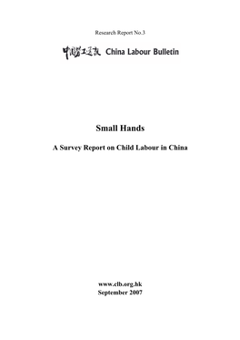 2008 Research Report on Child Labour