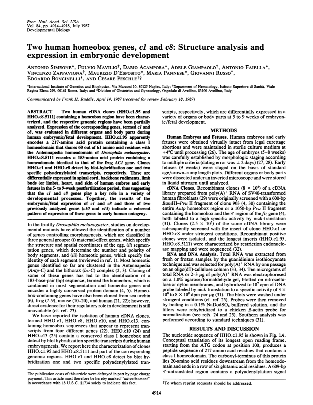 Two Human Homeobox Genes, Cl and C8