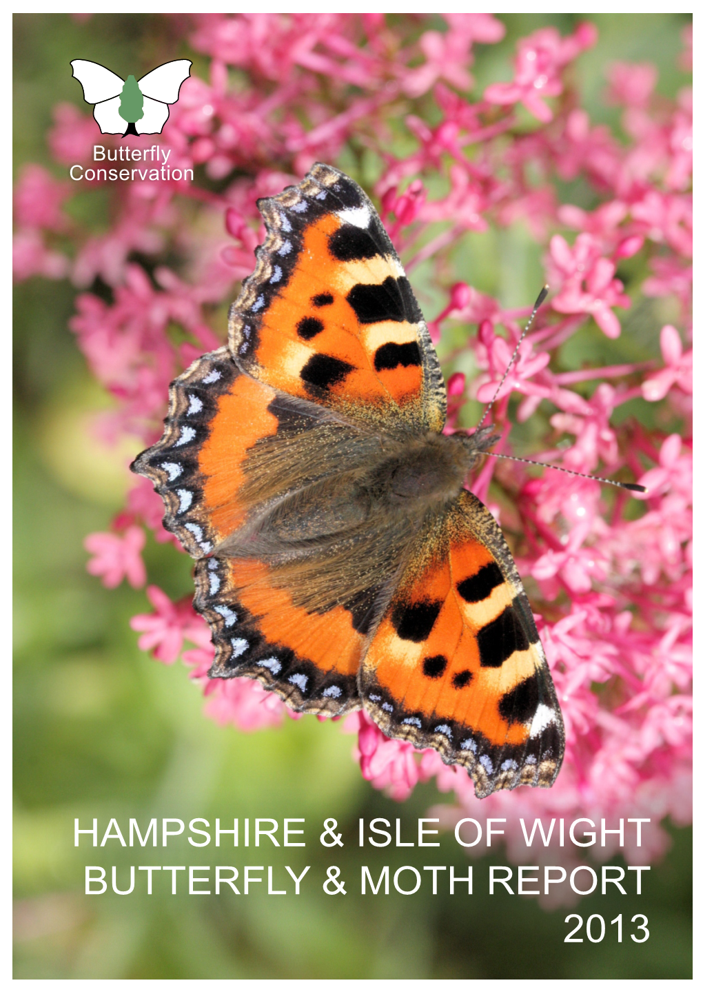 Hampshire & Isle of Wight Butterfly & Moth Report 2013