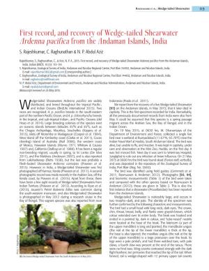 First Record, and Recovery of Wedge-Tailed Shearwater Ardenna Pacifica from the Andaman Islands, India S