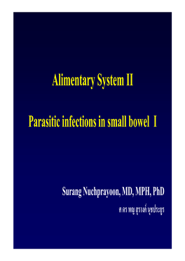 Alimentary System II