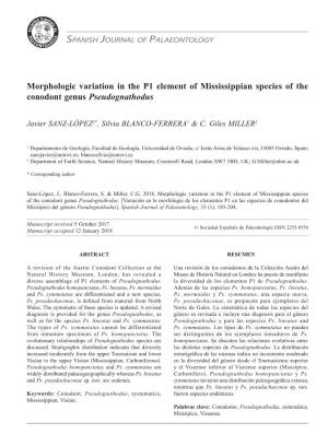 Morphologic Variation in the P1 Element of Mississippian Species of the Conodont Genus Pseudognathodus