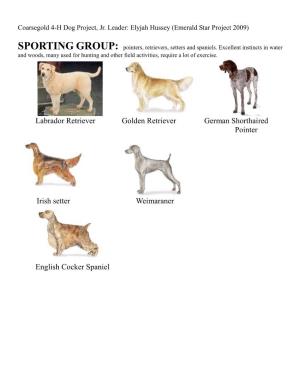 Dog Breeds Are Shown in This Study Guide