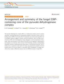 Arrangement and Symmetry of the Fungal E3BP-Containing Core of the Pyruvate Dehydrogenase Complex
