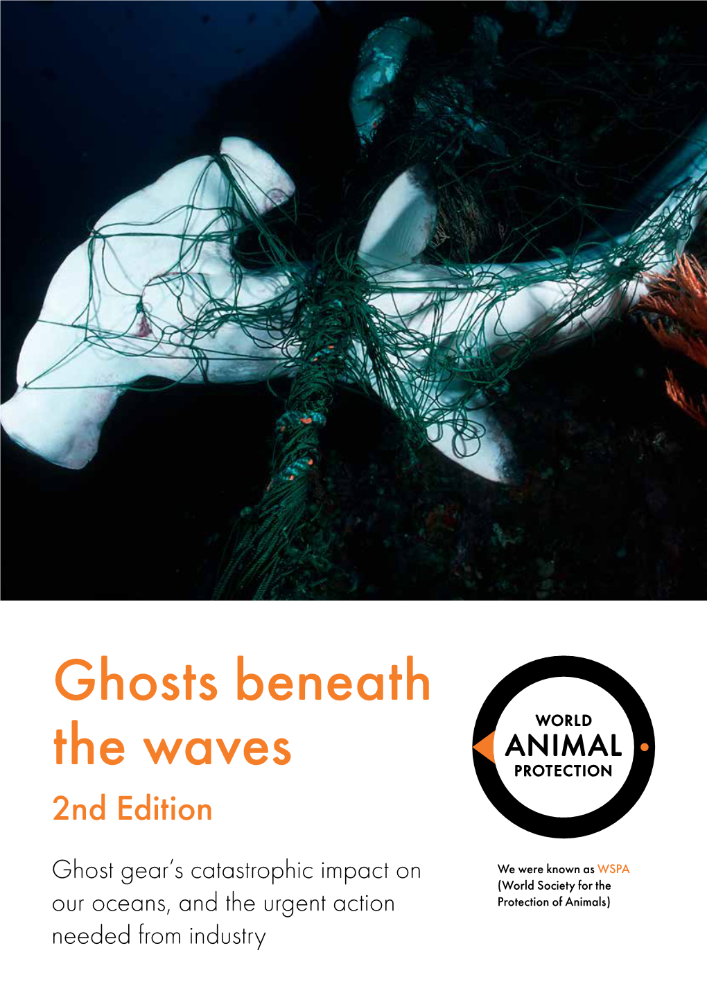 Ghosts Beneath the Waves 2Nd Edition