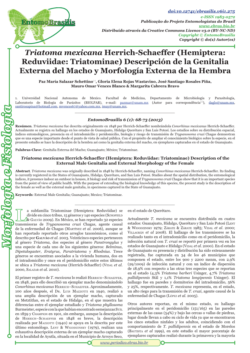 Hemiptera: Reduviidae: Triatominae) Descripción De La Genitalia Externa Del Macho Y Morfología Externa De La Hembra