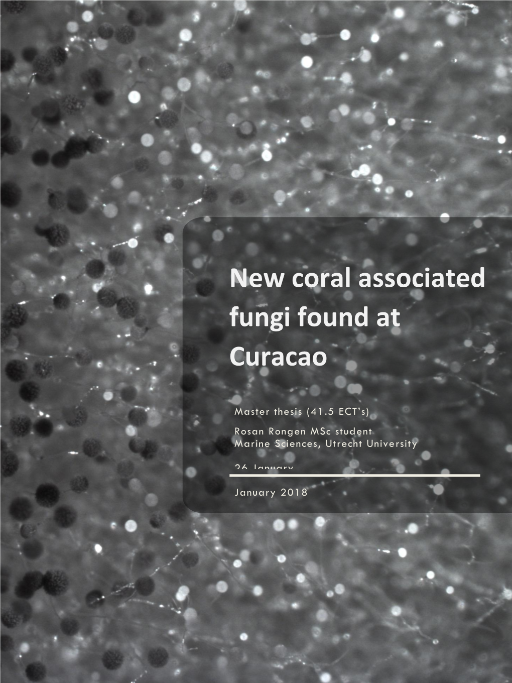 New Coral Associated Fungi Found at Curacao