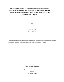 Final Msc Dissertation January, 14, 2012.Pdf