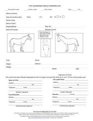 Donkey ID Certificate