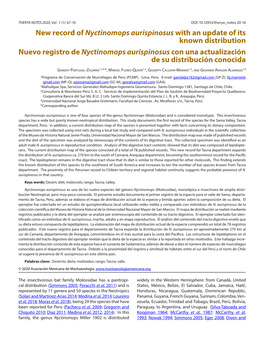 New Record of Nyctinomops Aurispinosus with an Update of Its