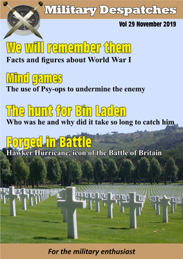We Will Remember Them Forged in Battle the Hunt for Bin Laden