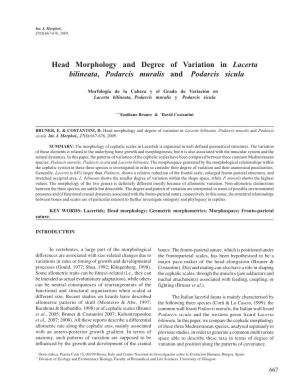Head Morphology and Degree of Variation in Lacerta Bilineata, Podarcis Muralis and Podarcis Sicula
