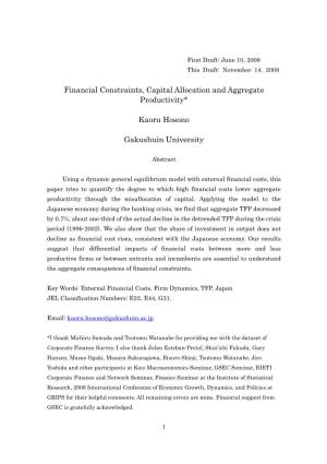 Financial Constraints, Capital Allocation and Aggregate Productivity*