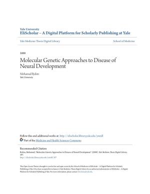 Molecular Genetic Approaches to Disease of Neural Development Mohamad Bydon Yale University