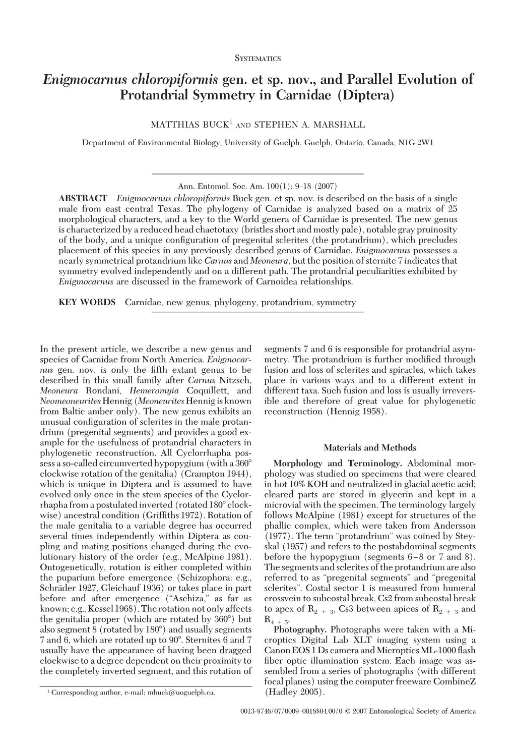 Enigmocarnus Chloropiformis Gen. Et Sp. Nov., and Parallel Evolution of Protandrial Symmetry in Carnidae (Diptera)