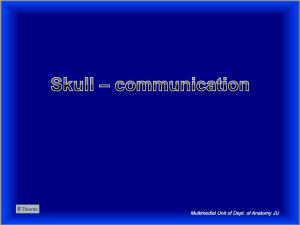 Skull – Communication