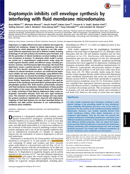 Daptomycin Inhibits Cell Envelope Synthesis by Interfering with Fluid Membrane Microdomains